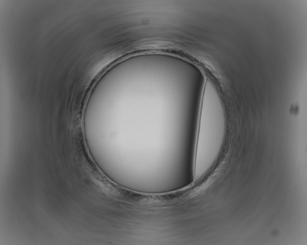 X0000093241073200709261525
