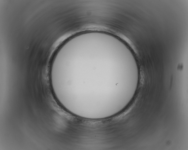 X0000093241074200709261525