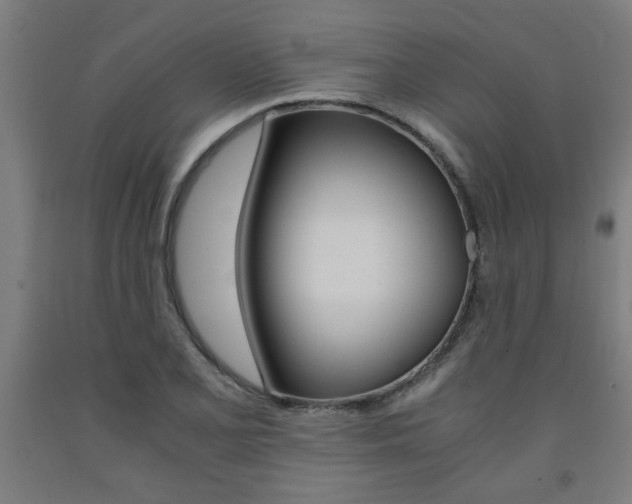 X0000093241077200709261525