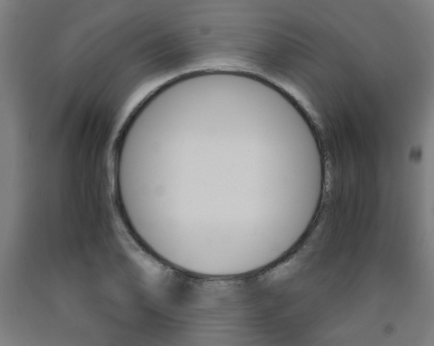 X0000093241078200709261525