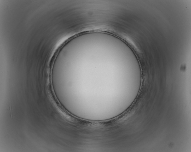 X0000093241079200709261525