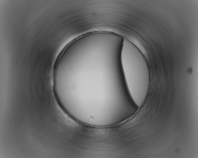 X0000093241084200709261525
