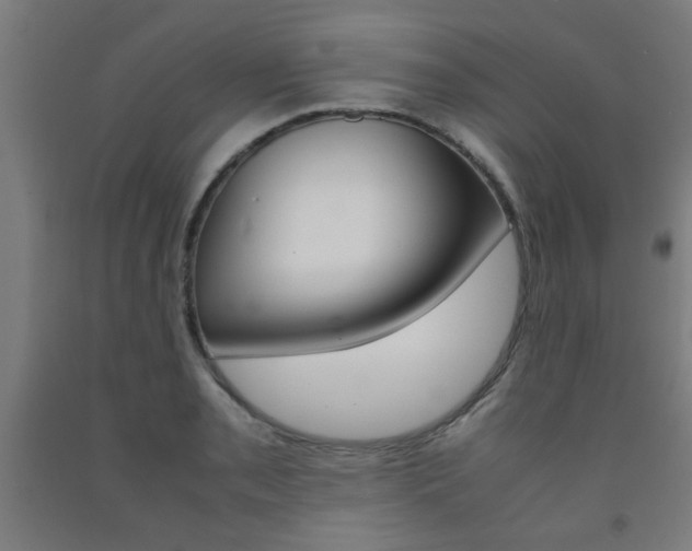 X0000093241085200709261525
