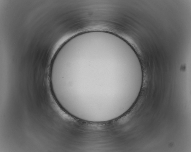 X0000093241086200709261525