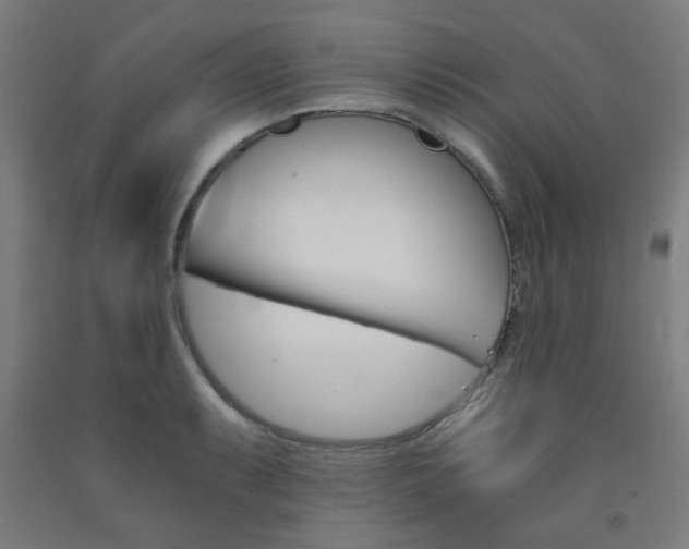 X0000093241087200709261525