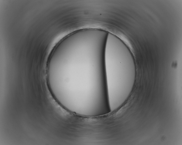 X0000093241088200709261525