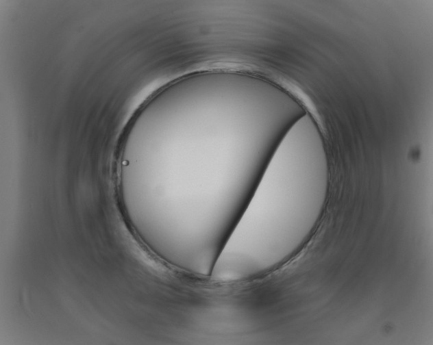 X0000093241091200709261525
