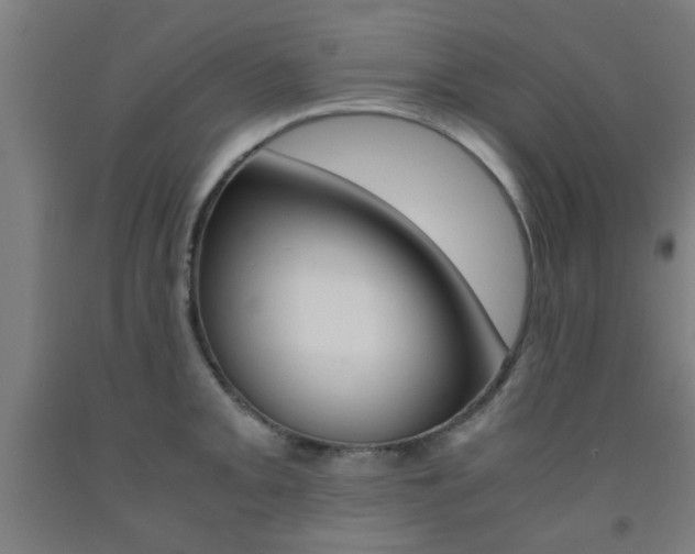 X0000093241093200709261525