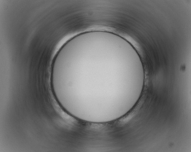 X0000093241094200709261525
