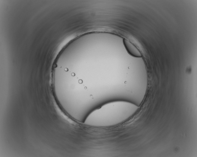 X0000093241095200709261525