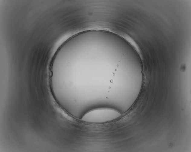 X0000093241096200709261525