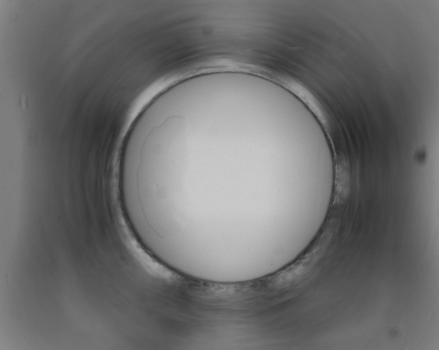X0000093241098200709261525