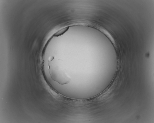 X0000093241099200709261525