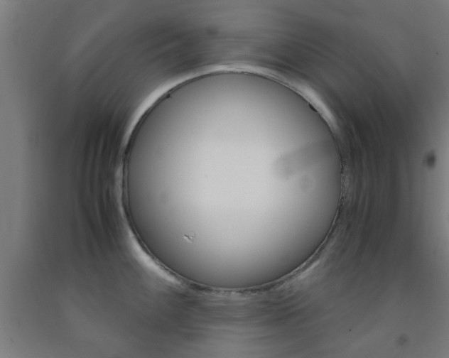 X0000093241100200709261525