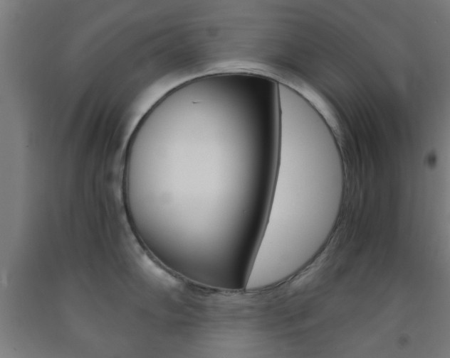 X0000093241102200709261525