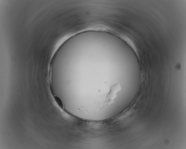 X0000093241103200709261525