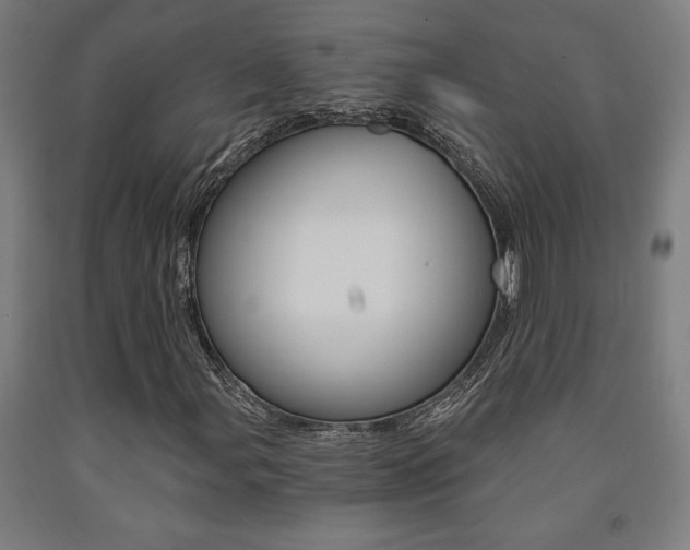 X0000093241107200709261524