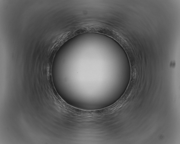 X0000093241108200709261524