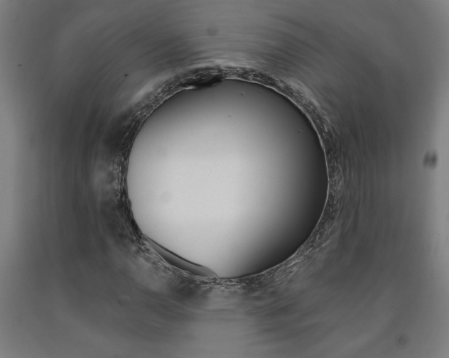 X0000093241110200709261524