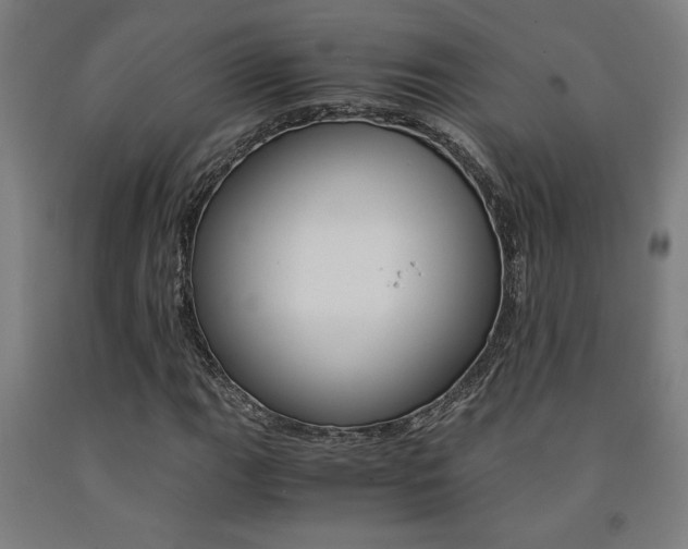 X0000093241111200709261524