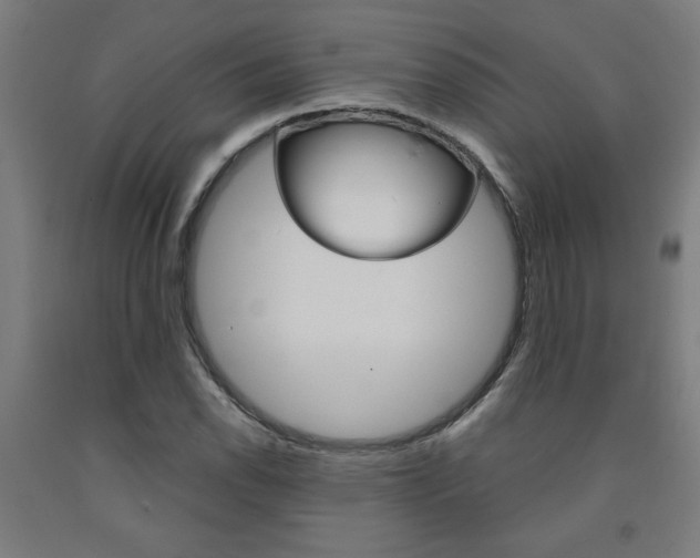 X0000093241118200709261524