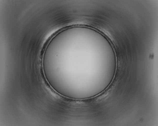 X0000093241119200709261524