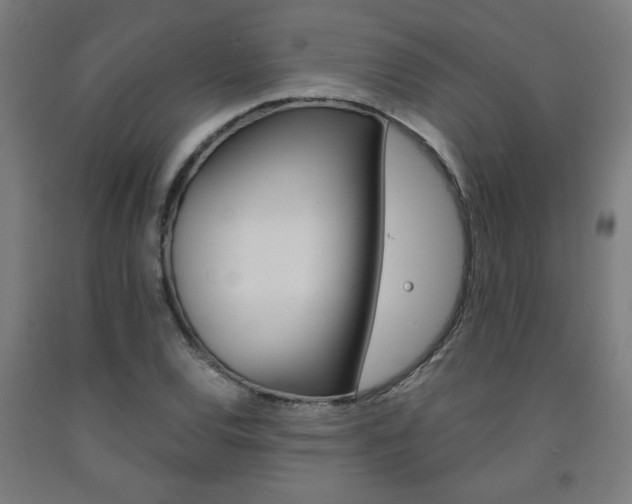 X0000093241120200709261524