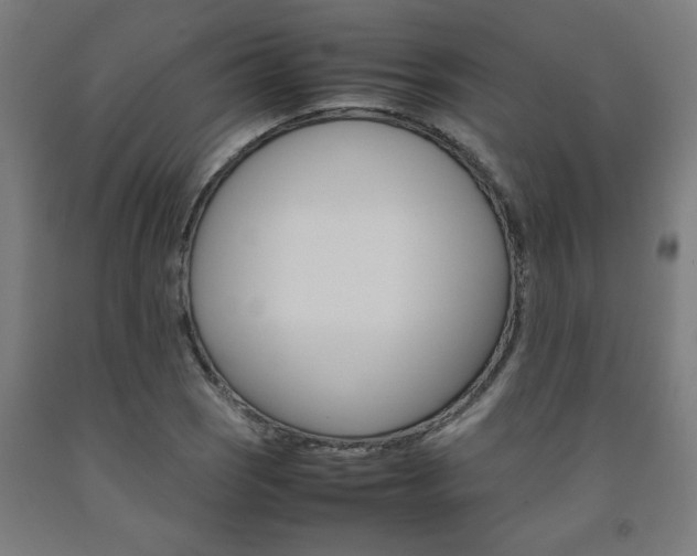 X0000093241121200709261524