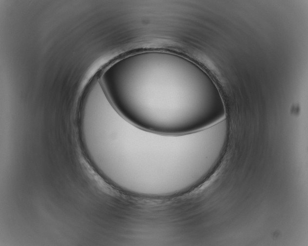 X0000093241122200709261524