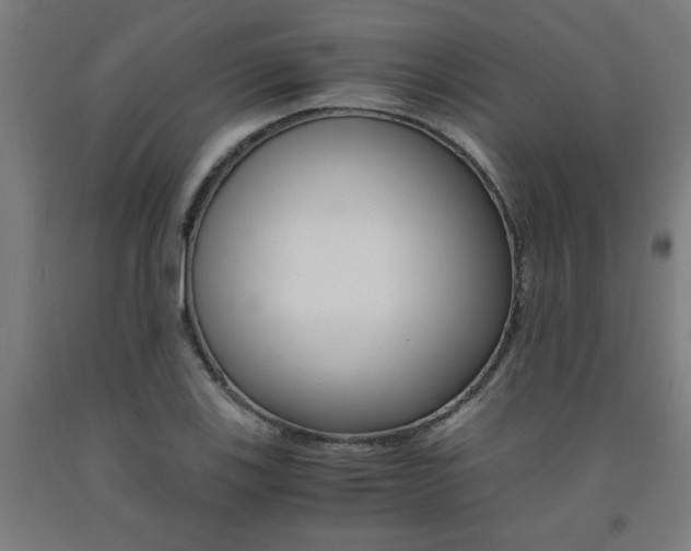 X0000093241123200709261524