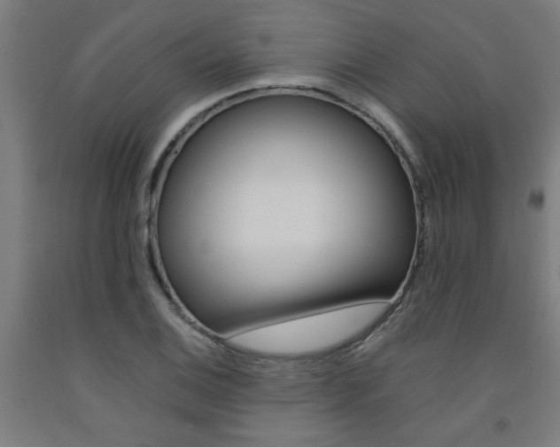 X0000093241124200709261524