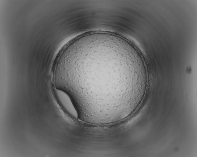X0000093241125200709261524