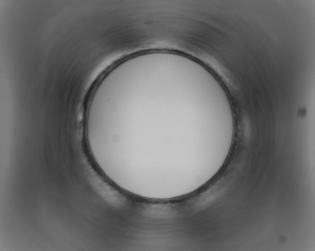 X0000093241126200709261524