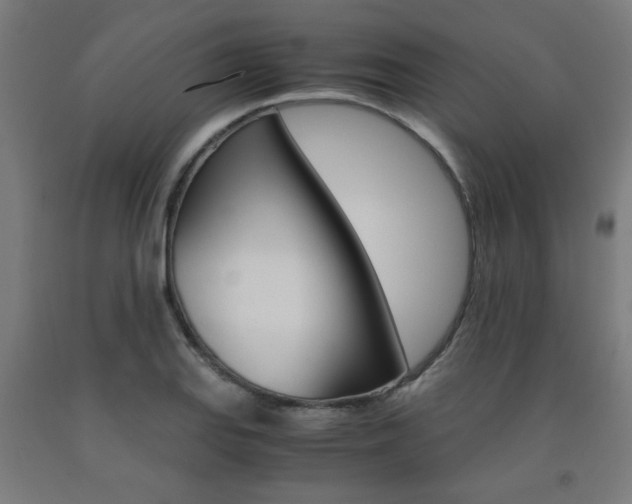 X0000093241127200709261524