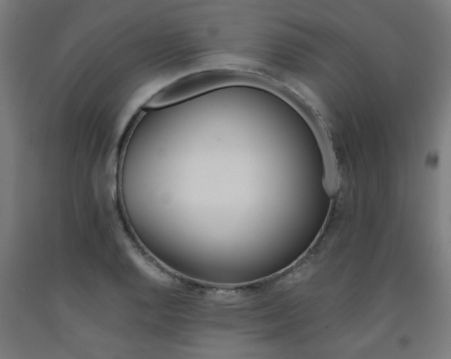 X0000093241128200709261524
