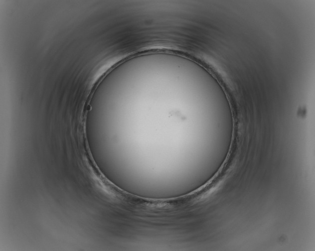 X0000093241129200709261524