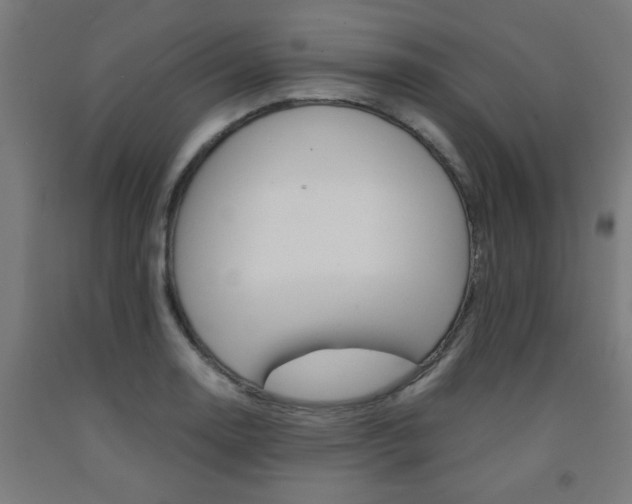 X0000093241130200709261524