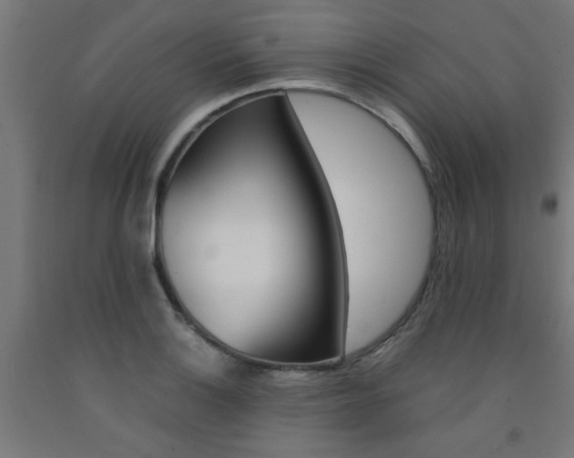 X0000093241132200709261524