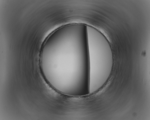 X0000093241134200709261525