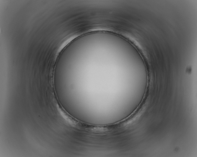 X0000093241137200709261525