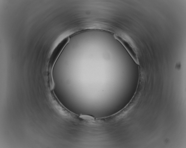 X0000093241138200709261525