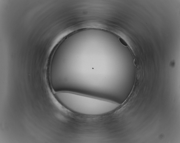 X0000093241139200709261525