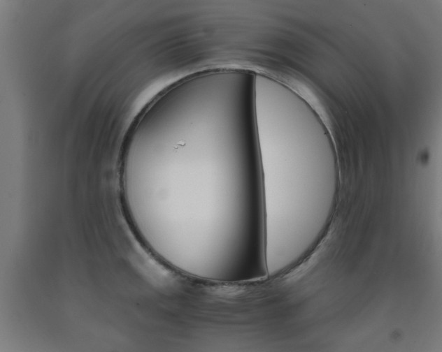 X0000093241141200709261525