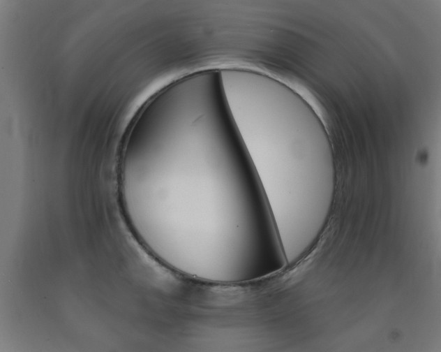 X0000093241142200709261525