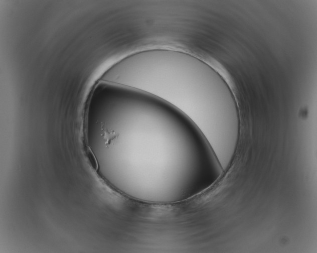 X0000093241144200709261525