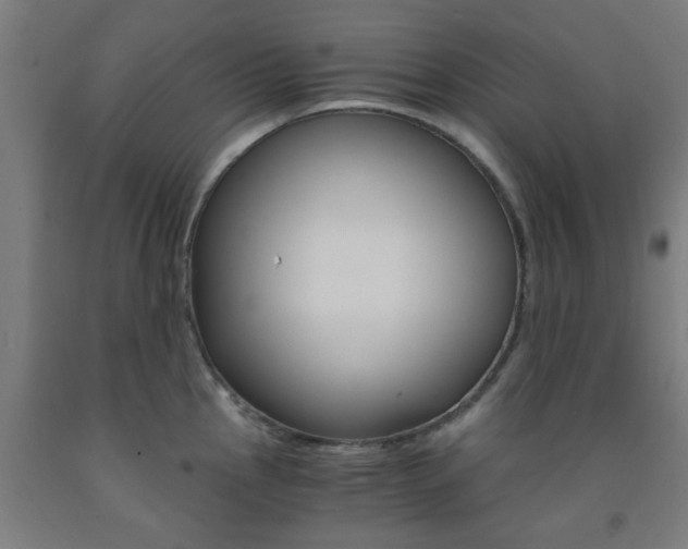 X0000093241145200709261525
