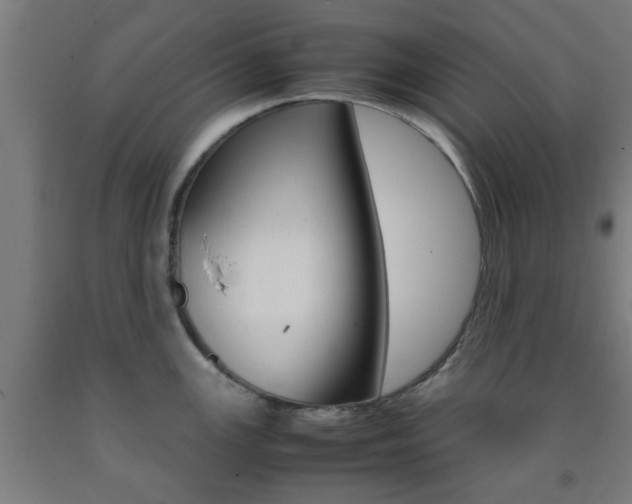 X0000093241147200709261525