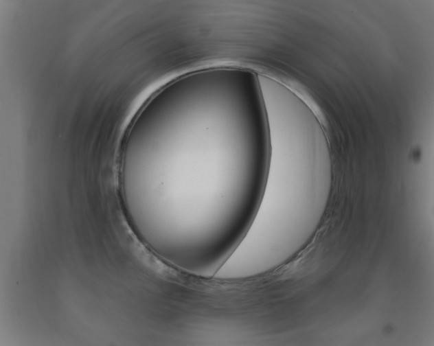 X0000093241148200709261525