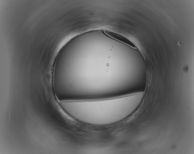 X0000093241151200709261525