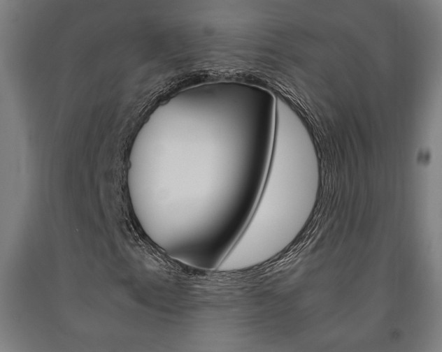 X0000093241153200709261524